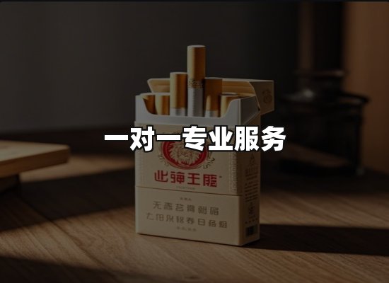 专业优势